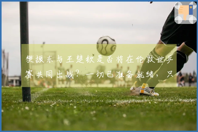 樊振东与王楚钦是否将在伦敦世乒赛共同出战？一切已准备就绪，只待时机而已。